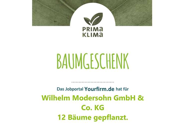 Baumgeschenk, Yourfim pflanzt 12 Bäume für MODERSOHN
