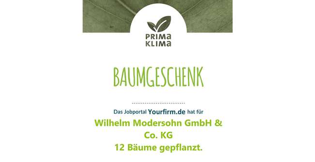 Baumgeschenk, Yourfim pflanzt 12 Bäume für MODERSOHN