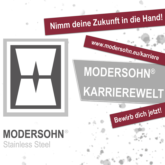 New Facebook-Site, MODERSOHN Career World